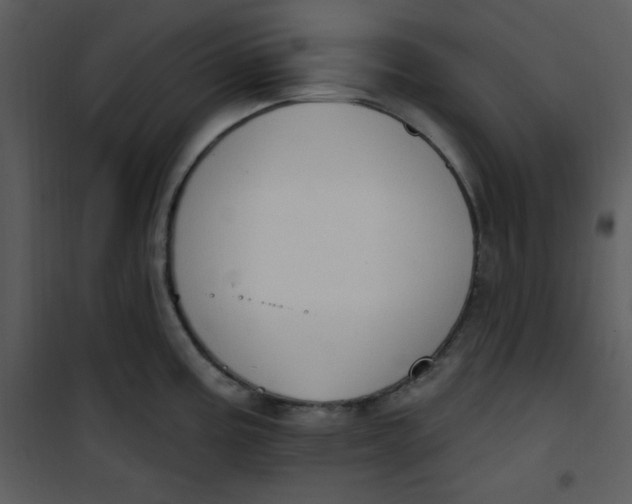 X0000101231195200807181556