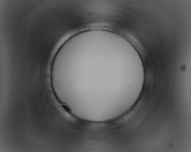 X0000101231196200807181556