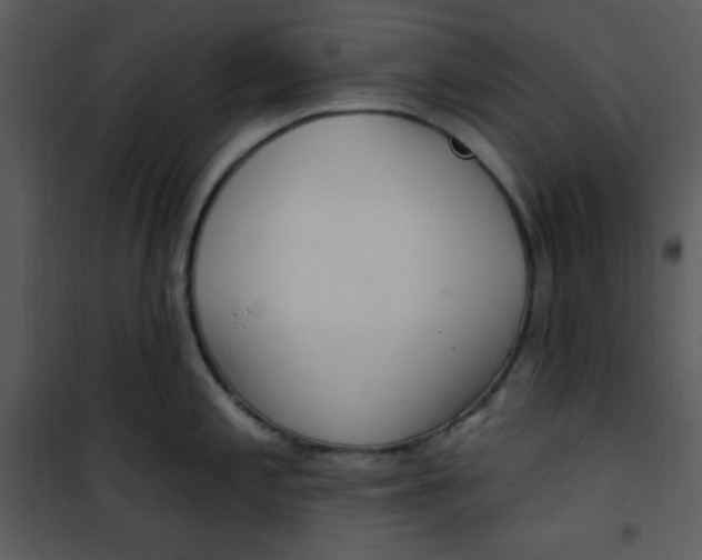 X0000101231197200807181556