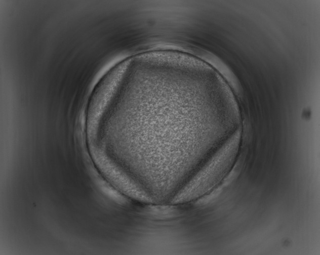 X0000101231198200807181556