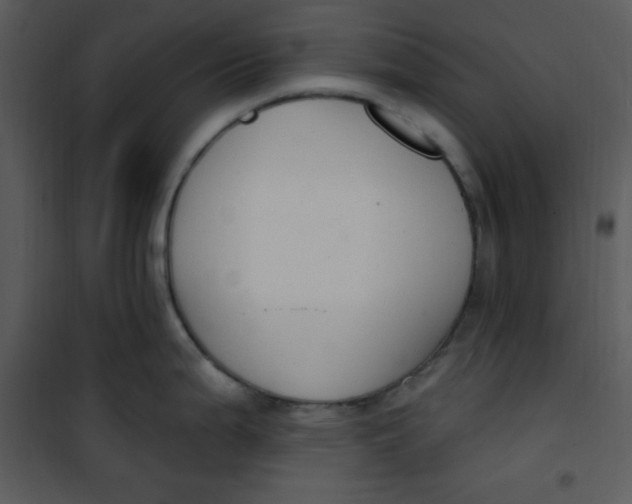 X0000101231199200807181556