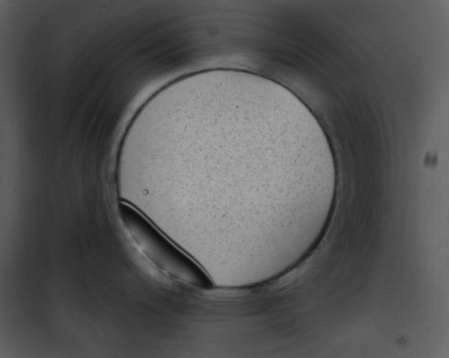 X0000101231200200807181556