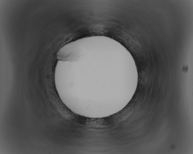 X0000101231201200807181555