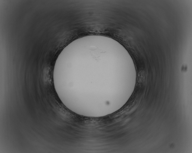 X0000101231202200807181555