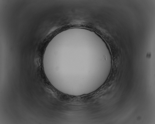 X0000101231206200807181555