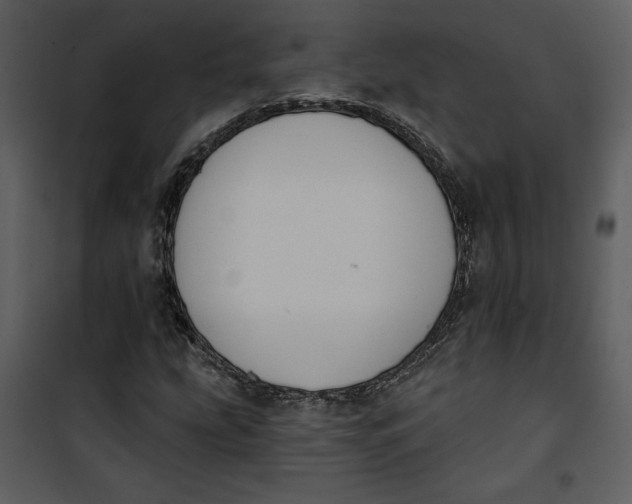 X0000101231207200807181555