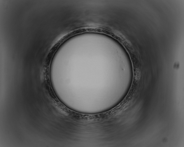 X0000101231208200807181555