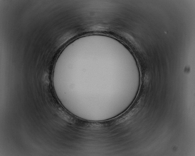 X0000101231209200807181555