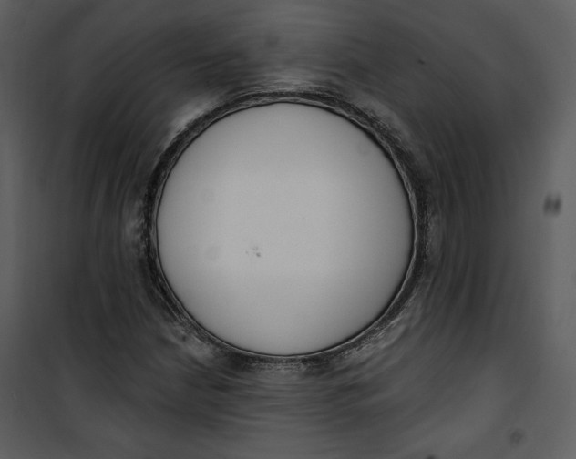 X0000101231210200807181555