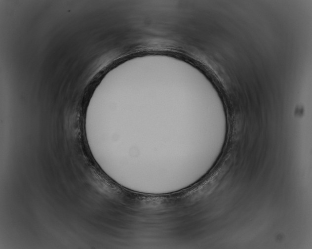 X0000101231211200807181555