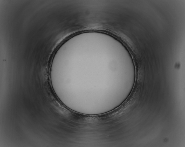 X0000101231212200807181555