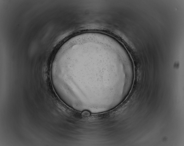 X0000101231213200807181555