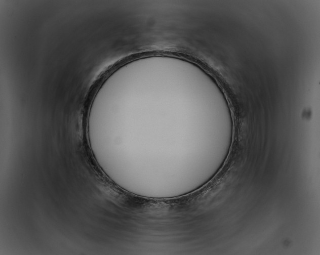 X0000101231214200807181555