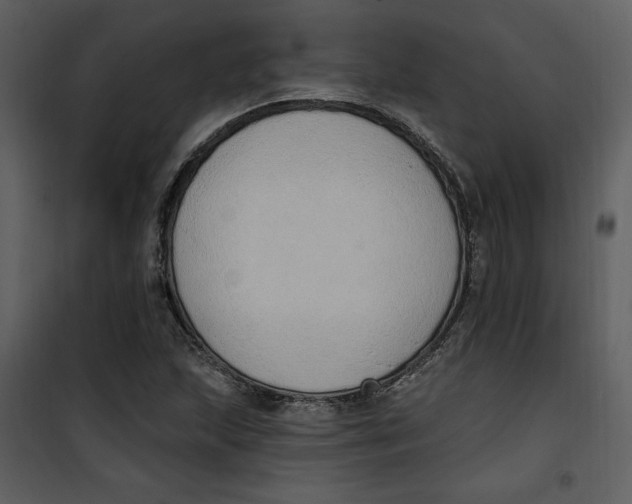 X0000101231215200807181555