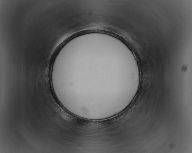 X0000101231216200807181555