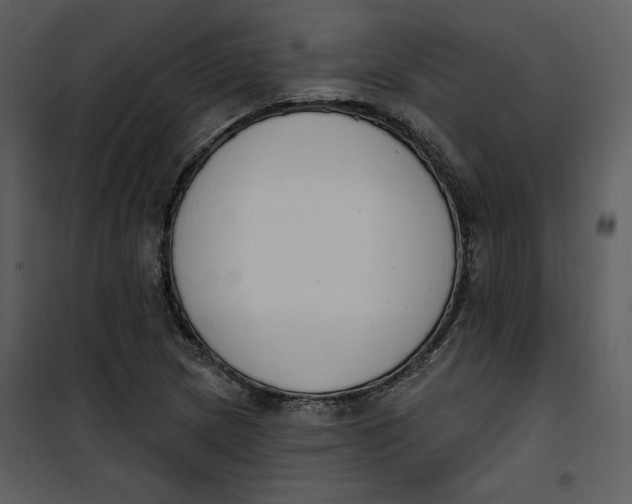 X0000101231217200807181555