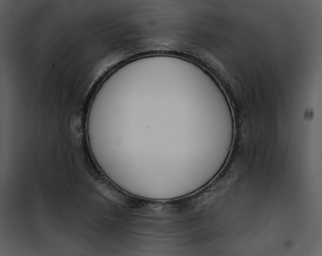 X0000101231218200807181555