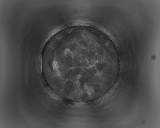 X0000101231219200807181555