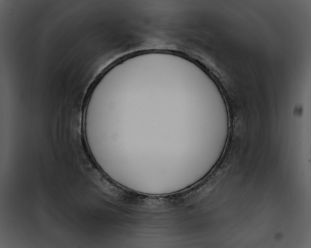 X0000101231220200807181555