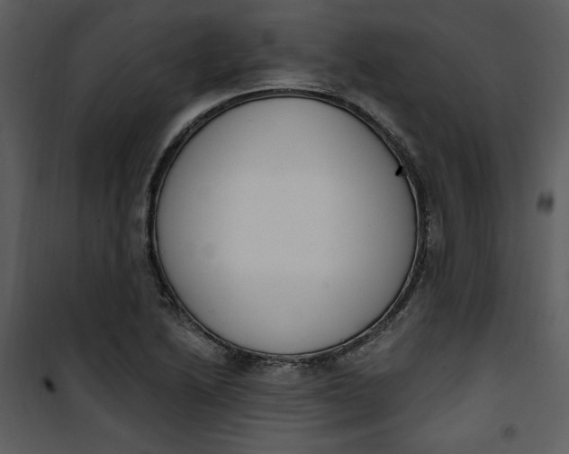 X0000101231222200807181555