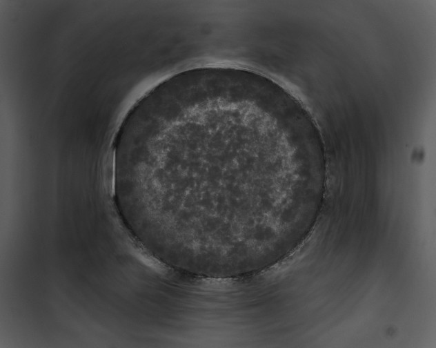 X0000101231223200807181555