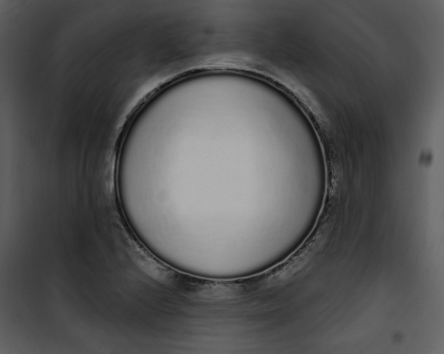 X0000101231224200807181555