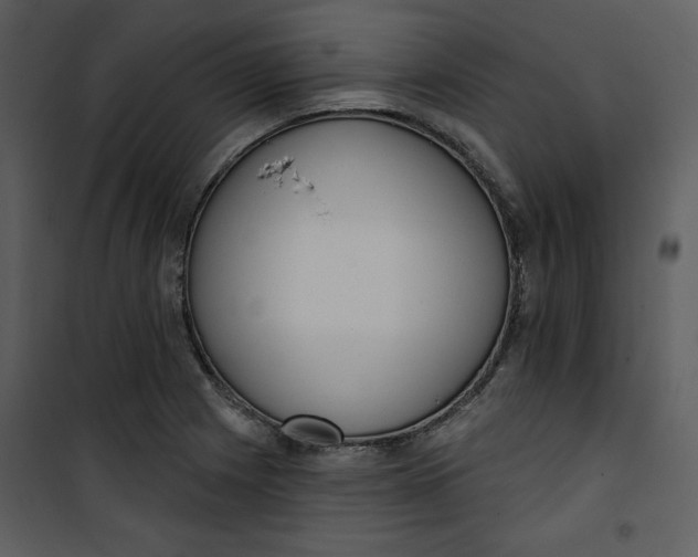 X0000101231225200807181555