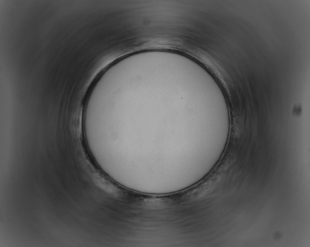 X0000101231227200807181555