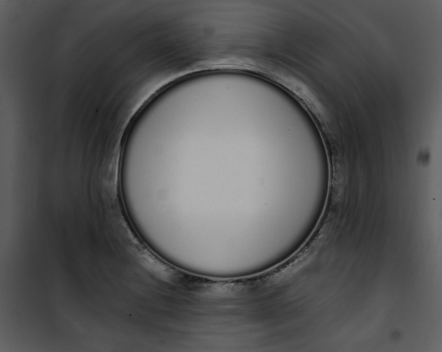 X0000101231228200807181555