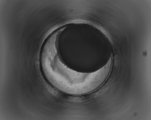 X0000101231229200807181555