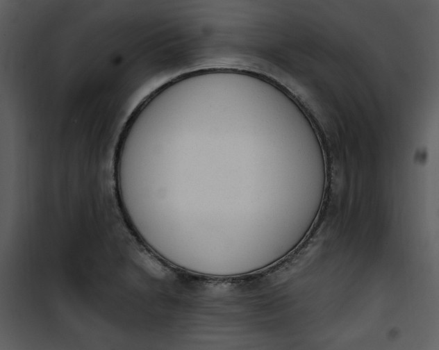 X0000101231230200807181555