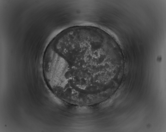 X0000101231231200807181555