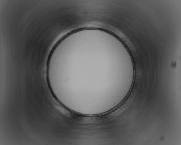 X0000101231232200807181555