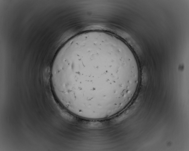 X0000101231233200807181556