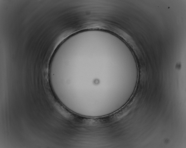 X0000101231234200807181556