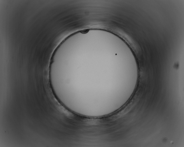 X0000101231236200807181556