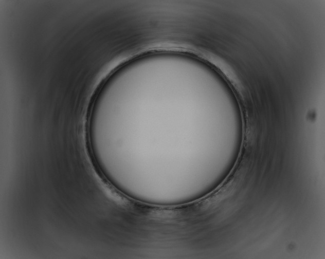 X0000101231237200807181556