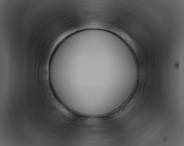 X0000101231238200807181556