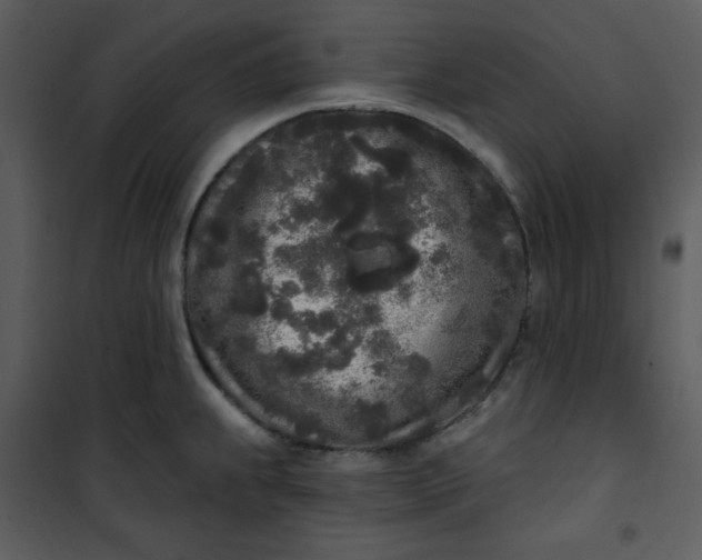 X0000101231239200807181556