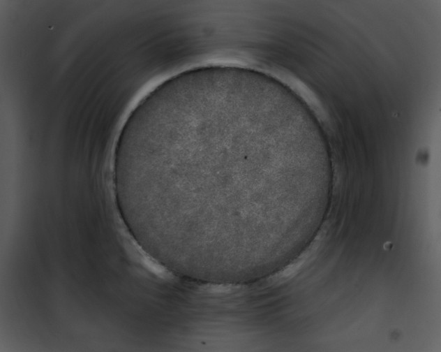 X0000101231240200807181556