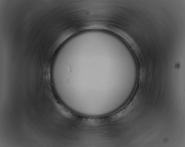 X0000101231241200807181556