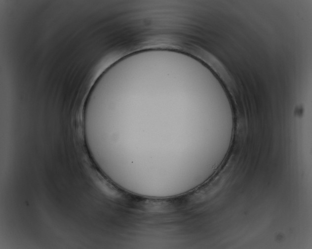 X0000101231242200807181556