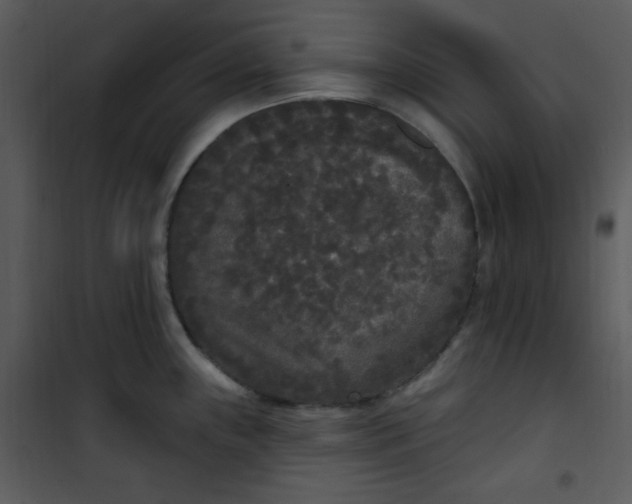 X0000101231243200807181556