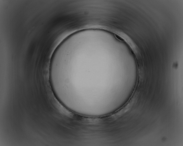 X0000101231244200807181556