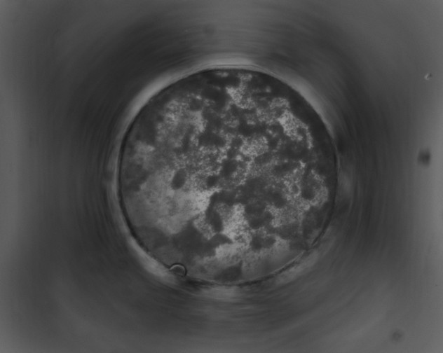 X0000101231245200807181556