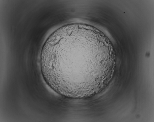 X0000101231247200807181556