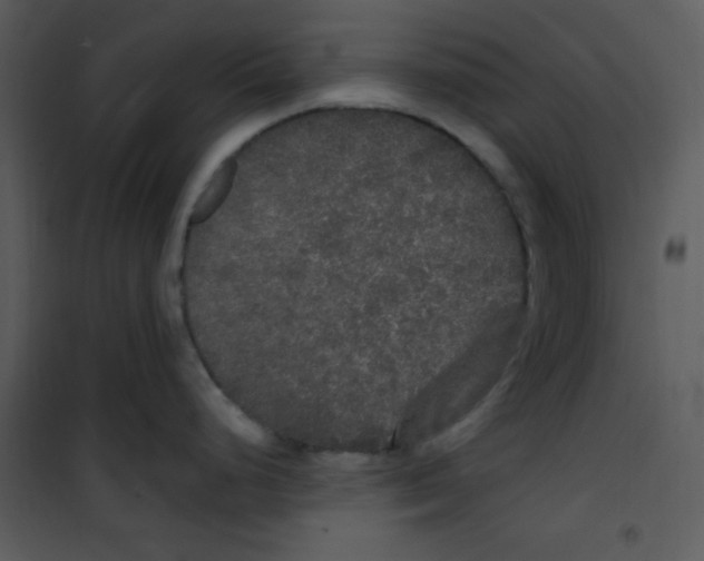 X0000101231248200807181556