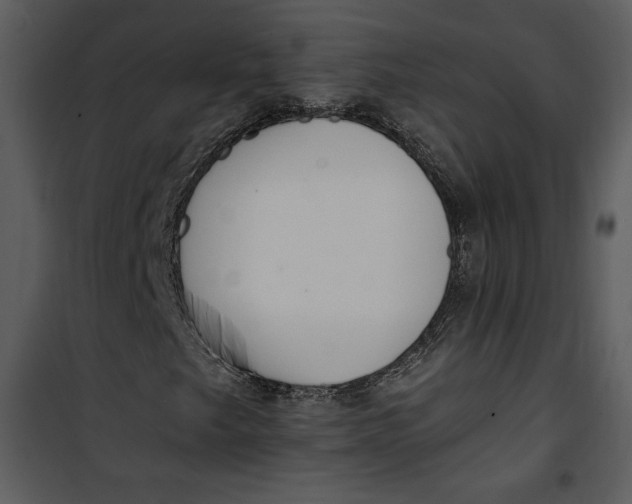 X0000101231249200807181555