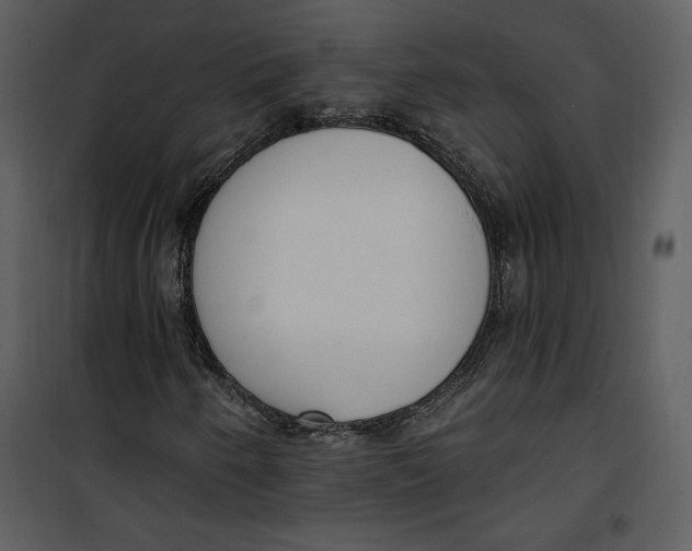 X0000101231250200807181555