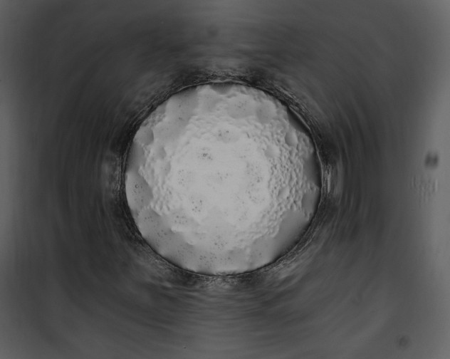 X0000101231251200807181555